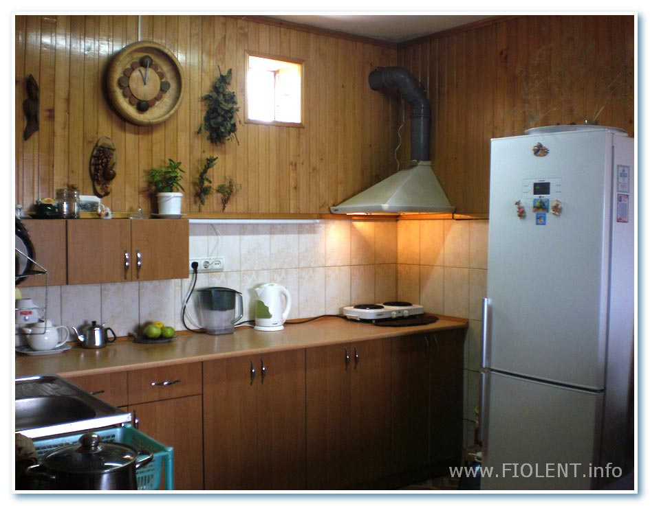 http://doma.fiolent.biz/images/inna-2-1st-floor-kitchen-workzone.jpg