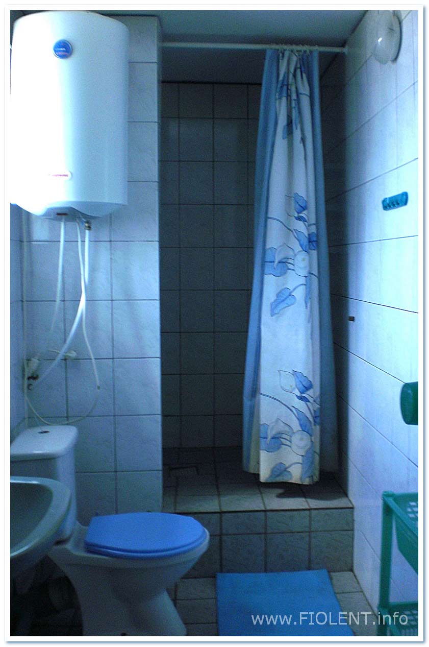 http://doma.fiolent.biz/images/inna-2-toilet.jpg